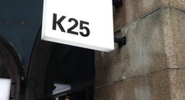 obrázek - K25